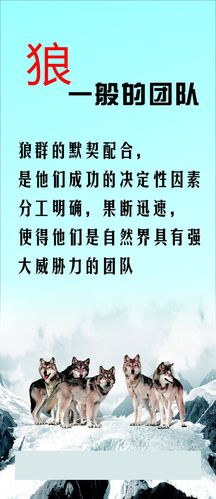 kaiyun官方网:关于写梦想的作文500字(写一篇关于梦想的作文500字)